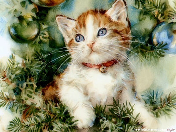 Christmas Cat, cute, kitty, painted, christmas tree HD wallpaper
