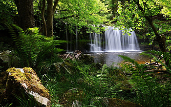 Nature, Grass, Waterfall, Shadow HD wallpaper