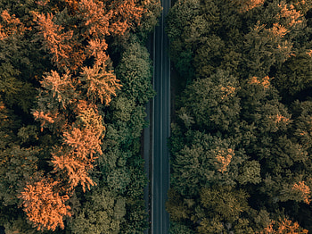 Nature, Trees, View From Above, Road, Forest HD wallpaper