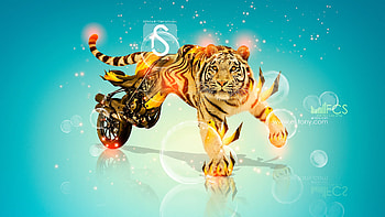 Moto Ducati Streetfighter Tiger, blue, mito, art, tiger, big cat, motorcycle, orange, streetfighter, pisici, fantasy, tony kokhan, tigru, ducati HD wallpaper