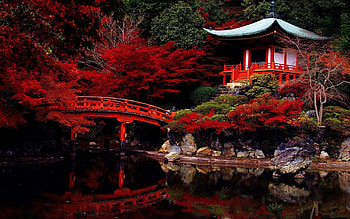 Daigo-ji Temple, Kyoto HD wallpaper
