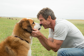 Dennis Quaid, Ultra , , Background HD wallpaper