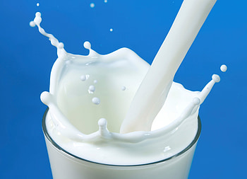 Milk celebration, Complete nutrition, World Milk Day, Essential dietary component HD wallpaper