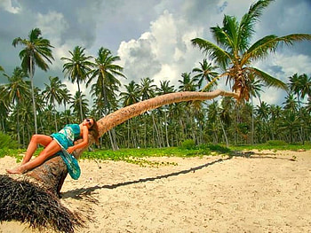 Lady on Tree, cool HD wallpaper