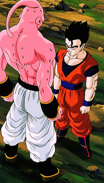 Gohan, Anime protagonist, Dragon Ball Z, Majin Boo HD phone wallpaper