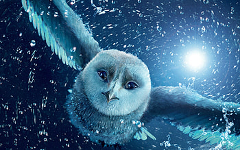 Legend of the Guardians, Owls of GaHoole, fantasy world, heroic owls HD wallpaper