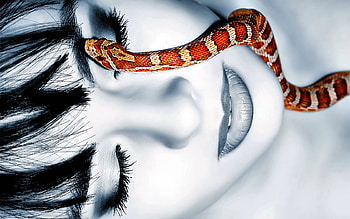 Beauty And Snake, snake, model, face, lips, beautiful, girl, female, nice HD wallpaper