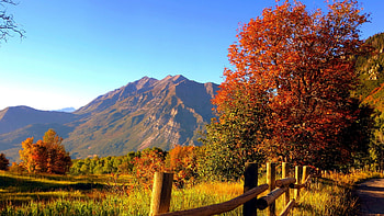Fall Colors, leaves, fence, trees, autumn, landscape, sky HD wallpaper