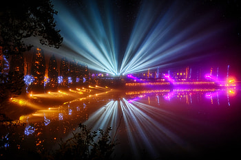 City Lights, Cities, Night City, Light Show, Festival HD wallpaper