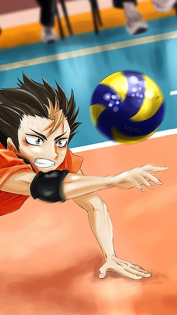Volleyball, Anime, Sports Background HD phone wallpaper