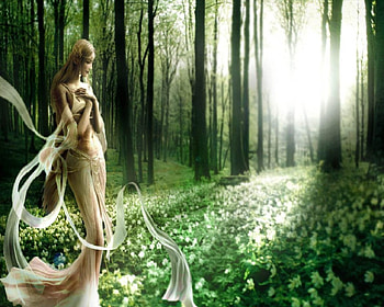 Woman In The Forest, Forest, Peaceful, Trees, Woman, Flpwers HD wallpaper