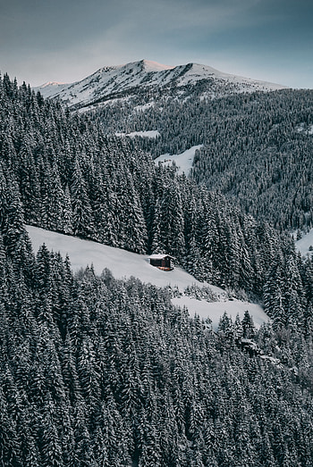 Winter, Nature, Trees, Sky, Snow, Forest, Small House, Lodge, Elevation HD phone wallpaper