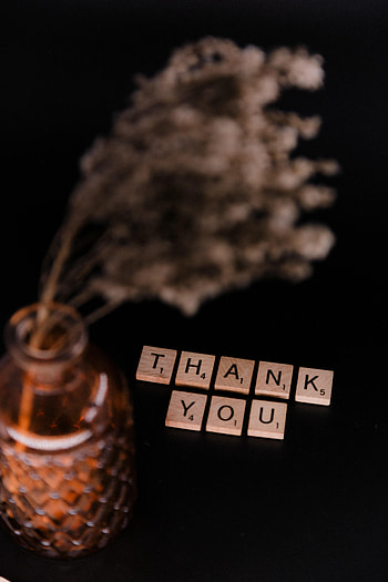 Words, Inscription, Vase, Thank You HD phone wallpaper