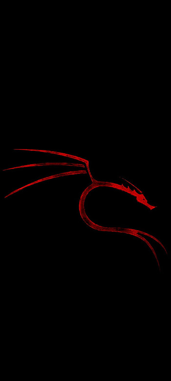 Kali red rage, hacker, dragon, scifi HD phone wallpaper