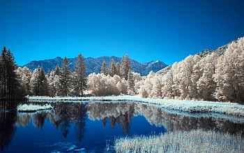 color nature, blue, white, color, graphy, trees, sky, forest, lake HD wallpaper