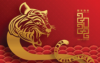 Chinese new year 2022, Year of the Tiger, Vector art HD wallpaper
