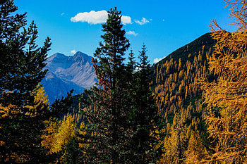Landscape, Nature, Trees, Mountains, Autumn, Vertex, Top, Branches HD wallpaper