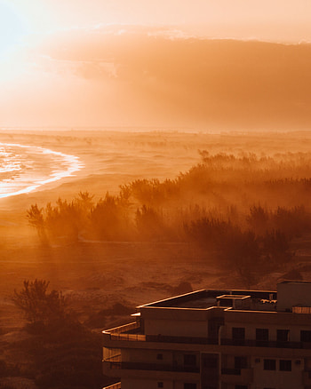 Nature, Dawn, Horizon, Shore, Bank, Forest, Fog, Sunlight, Sun Rays HD phone wallpaper