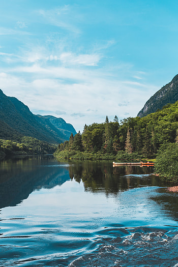 Forest, Trees, Mountains, Landscape, Nature, Lake, Shore, Bank HD phone wallpaper