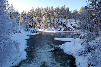 Nature, Rivers, Trees, Ice, Snow, Flow, Frost, Hoarfrost, Stream, Finland HD wallpaper