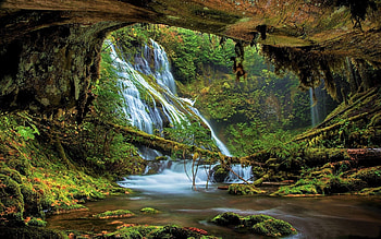 Waterfalls in Mossy Forest, Waterfalls, Nature, Forests, Moss HD wallpaper