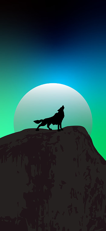 Best wolf , Top-quality , Striking visuals, Captivating creatures HD phone wallpaper