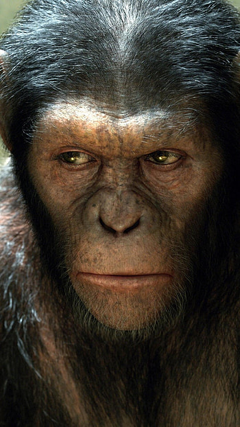 Planet of the Apes, Movie franchise, Mobile HD phone wallpaper
