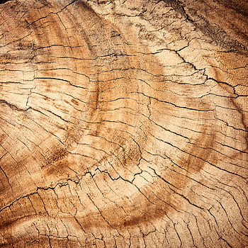 Detailed close-up of a rustic wooden texture with visible grain and rings, ideal for backgrounds. HD phone wallpaper