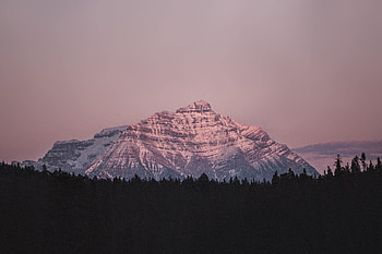 Landscape, Nature, Twilight, Mountain, Vertex, Top, Forest, Dusk HD wallpaper