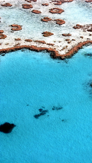 Great Barrier Reef, Natural wonder, Earth's marvel, Biodiversity hotspot HD phone wallpaper