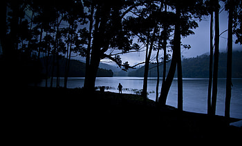 Privacy, Trees, Lake, Dark, Silhouette, Seclusion, Human, Person, Loneliness HD wallpaper