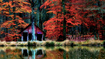 Autumn Reflections F, graphy, fall, beautiful, four seasons, lake, scenery, wide screen, reflection, autumn, nature HD wallpaper