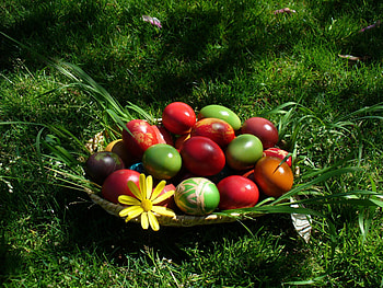 Holidays, Eggs, Easter HD wallpaper