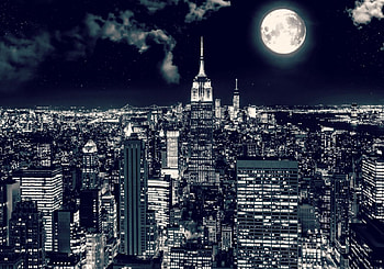 Moonlight in New York, night, white, black, city, full, bw, buildings, New York, moon, luna, sky HD wallpaper