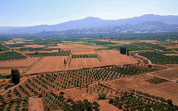 Fields, trees, nature HD wallpaper