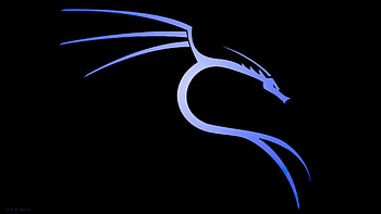 BackTrack Linux, kali-linux, backtrack, linux, computer, logo, dark, black HD wallpaper