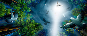 Artwork, Pigeons HD wallpaper