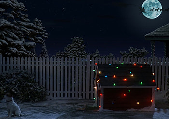 Waiting for Santa, winter, holidays, dogs, cute, beauty, moon, snow, animals, trees, sweet, popular, cold, cage, lonely, christmas, lights, decorations, sky, fench, nights HD wallpaper