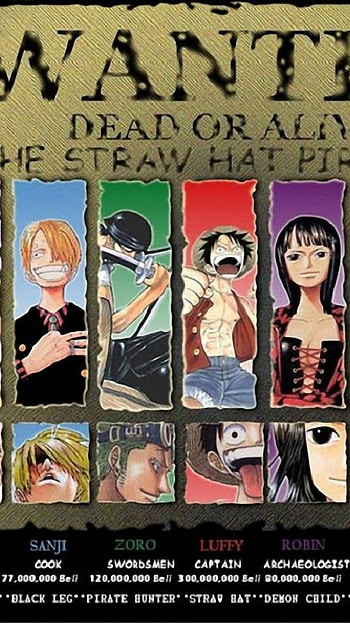 Nico Robin, Roronoa Zoro, Tony Tony Chopper, Nami (One Piece), Sanji (One Piece), Monkey D. Luffy, Anime, One Piece HD phone wallpaper
