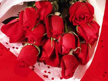 Roses, white, flowers, red HD wallpaper