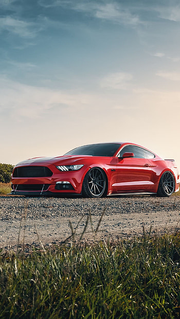 Ford , Stunning visuals, Automotive beauty, Unshakable reputation HD phone wallpaper