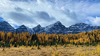 Larch Valley, Alberta, mountains, fall, trees, colors, landscape, canada HD wallpaper