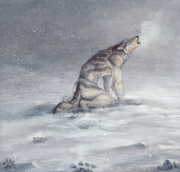 the lone werewolf, werewolves, paintings, lone, wolves HD wallpaper