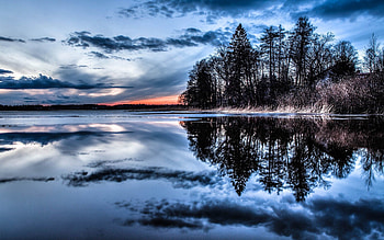 Trees, Nature, Rivers, Lake, Evening HD wallpaper