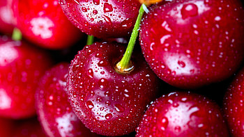 cherries, Captivating backgrounds, Bursting with flavor, Exquisite and delectable HD wallpaper