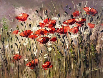 Poppy, poppies, nature, flowers, wild HD wallpaper