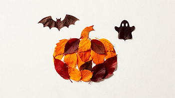 Minimal Halloween: Leaf Pumpkin, Bat & Ghost HD wallpaper
