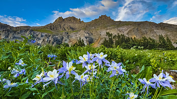Yankee Boy Basin near Ouray, Colorado, columbines, clouds, landscape, sky, spring, rocks, usa HD wallpaper