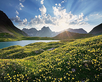 Austria, meadow, sky, flowers, lake HD wallpaper