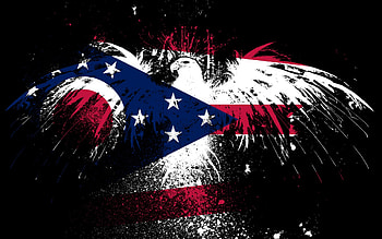 Eagles hawk flags usa ohio state HD wallpaper
